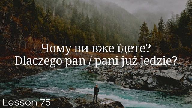 Польська мова за 100 уроків. Польські слова та фрази. Польська з нуля. Польська мова. Частина 71-80