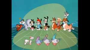 Opening/Closing to Animaniacs: Volume 3 2007 DVD (Disc 4, 60fps)