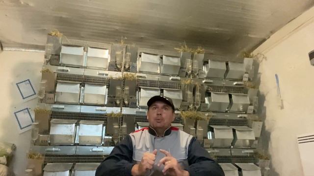 Я БЫЛ ПРАВ, ВРЕМЯ ЭТО ДОКАЗАЛО! ПЛЕМЕННЫЕ ШИНШИЛЛЫ || ШИНШИЛЛОВАЯ ФЕРМА смотреть онлайн