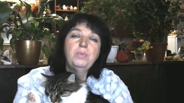 Помощь психолога смотреть онлайн