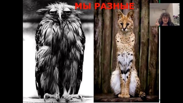 1000 СЕКРЕТОВ СЧАСТЛИВОЙ ЖИЗНИ!  ЕЛЕНА ДЕНИСЕНКО