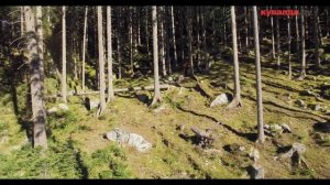 ПОЧУВСТВУЙ МОЩЬ! БЕНЗОПИЛЫ STIHL В КУВАЛДА.РУ