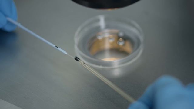 Криоконсервация в Ecofamily Clinic смотреть онлайн