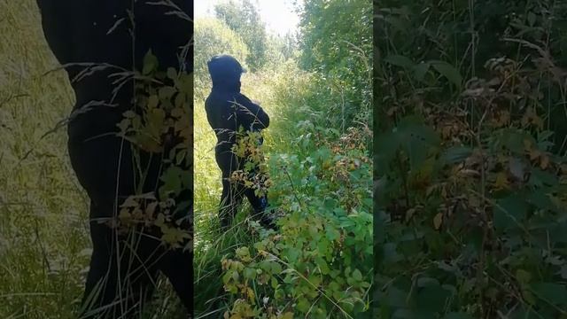 Выгуливаю в лесу свою жену.
