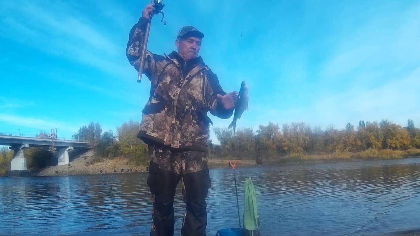 Донная снасть лов плотвы Ахтуба не перестает удивлять.