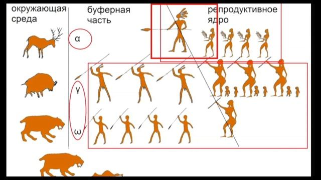 Матриархальный социум и сексуальная провокация Павел Китов Аркадий Кутузов (фрагмент 3)