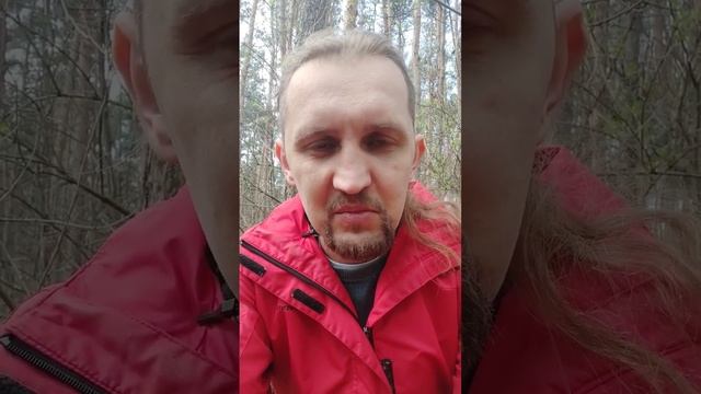 Развитие личности и остановка Внутреннего диалога (почему не получается) смотреть онлайн