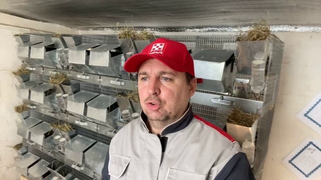 БУДУ УВЕЛИЧИВАТЬ ПОГОЛОВЬЕ | ШИНШИЛЛОВАЯ ФЕРМА | ФЕРМА | СЕЛЬСКОЕ ХОЗЯЙСТВО смотреть онлайн