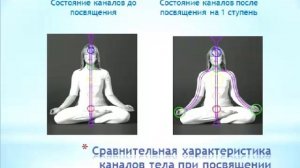 Мастер - Класс по применению Кундалини Рэйки в жизни. Часть 1.