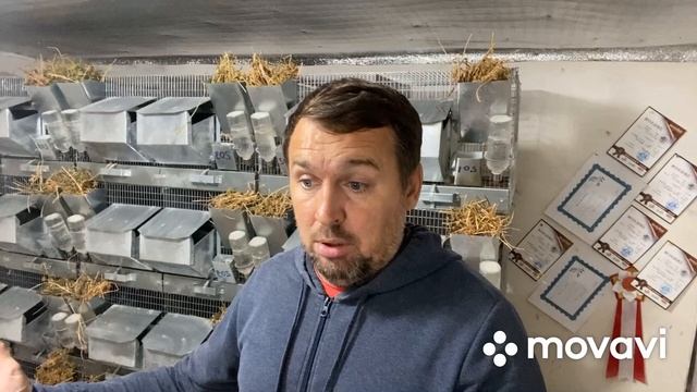 Ответы на ваши вопросы | сельское хозяйство | уборочная 2022 смотреть онлайн