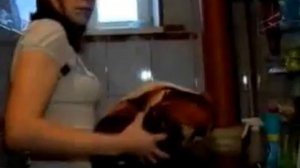 Жители поселка Северка вынуждены топить лед