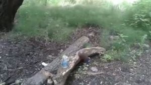 Пневматический ПМ Тест стрельба по бутылкам OLD SCHOOL