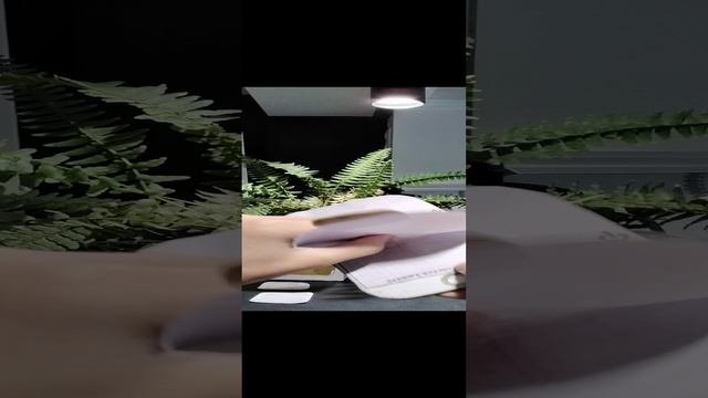 обзор на айфон 7