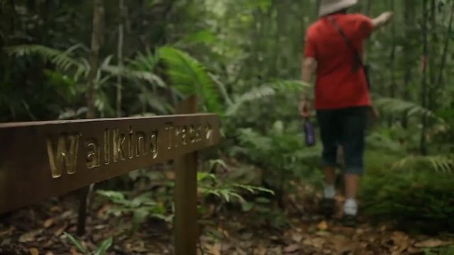 Rose Gums Wilderness Retreat смотреть онлайн