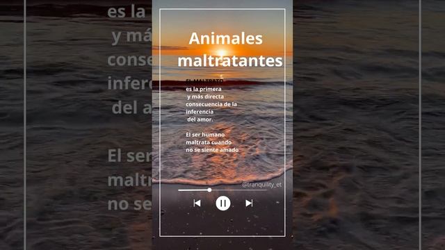 Animales maltratantes