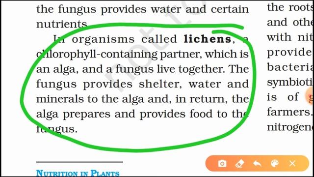 Nutrition in Plants|| Science||Chapter 1||PART -2 смотреть онлайн