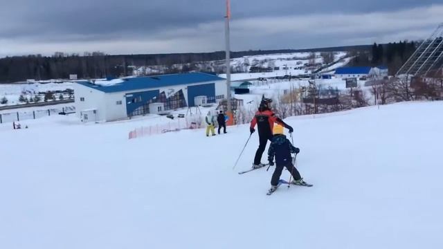 Осля-горнолыжник в Сорочанах