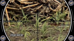 Vector Optics Taurus 3-18x50 FFP