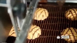 Линия для глазирования и декорирования Selmi Tunnel 300⁄400⁄800