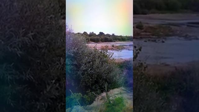 Принятие своей силы, себя. Признание в Любви Подлинной