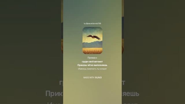 Ты -солдат(без припева). На стихи Ольги Варламовой 71 от 30.10.2024 г.