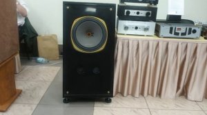 эти ребята не стесняются в тяжеляк. росхайенд 2023. колонки похожие на танной. electrotone.ru