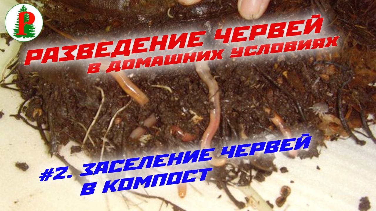 Заселение червей в компост смотреть онлайн