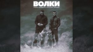 волки песни Шох