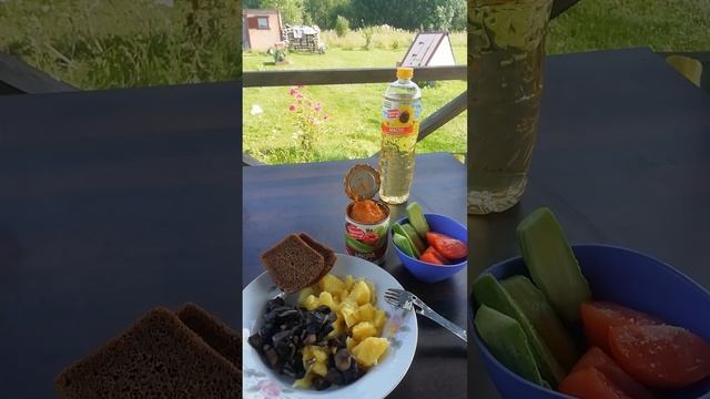 Мечта о самообеспечении постепенно сбывается. #дача #сад #природа #лето #огород
