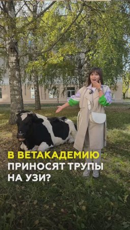 Плюсы и минусы учебы в «Ветеринарке»: студенты о трупах животных и слезах #казань #татарстан #кгавм