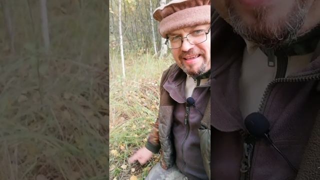 Урааа, нашёл грибы. Они есть в этом году.