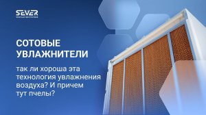 Сотовые увлажнители: так ли хороша эта технология увлажнения воздуха? И причем тут пчелы?