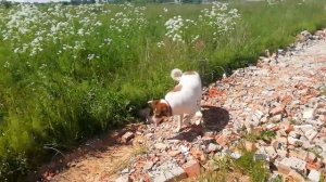 Внезапный облом поездки...