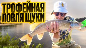 В поисках ТРОФЕЯ на Оби. Ловля крупной щуки в сердце Сибири!