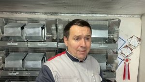 ОШИБКИ НАЧИНАЮЩЕГО ШИНШИЛЛОВОДА | СЕЛЬСКОЕ ХОЗЯЙСТВО