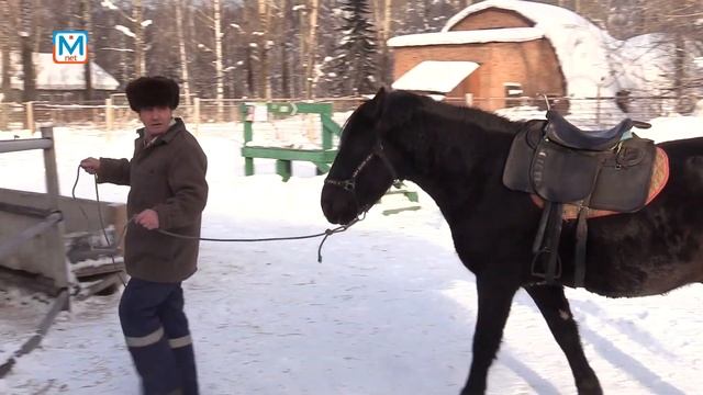 Станьте опекуном животных! смотреть онлайн