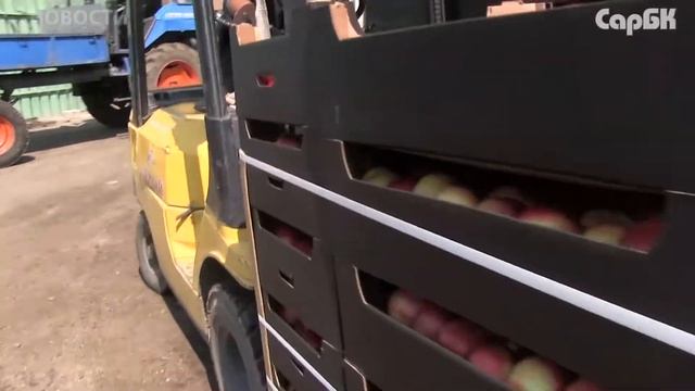С «Привоза» изымают яблоки