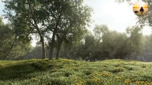 🧲 КАК ПРИТЯНУТЬ УСПЕХ? КАК РАБОТАЕТ СИЛА ПРИТЯЖЕНИЯ 🧲