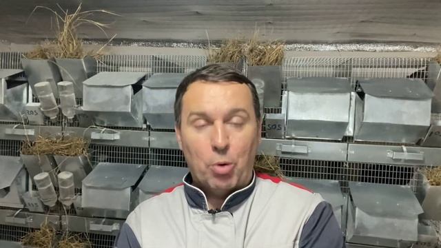 РАЗВЕДЕНИЕ ШИНШИЛЛ-САМОЕ ВЫГОДНОЕ ЖИВОТНОВОДСТВО | СЕЛЬСКОЕ ХОЗЯЙСТВО