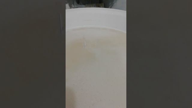 Первая брага в жизни начинающего винокура. Не за горами первая перегонка.