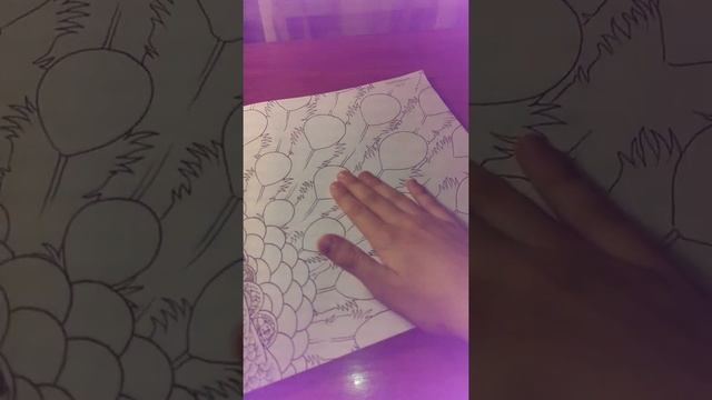 Обзор раскраски антистресс "Аниморфозы" Керби Розанеса смотреть онлайн