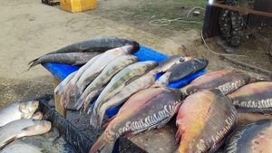 В ДУШЕ ПУСТОТА ВОЗВРАЩАЕМСЯ ДОМОЙ Шиндр Мындр @ShindrMindr_Official