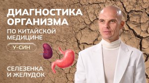 Диагностика организма по Китайской медицине У-Син. СЕЛЕЗЕНКА. ЧАСТЬ 15