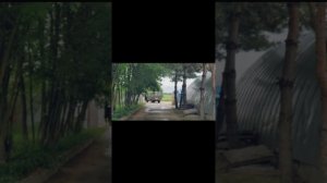 Честнейшую Херувим. Болгарский распев