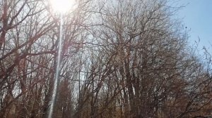 Птицы 17 04 22 урочище Новые Буреги