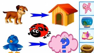 Қазақша ойындар балабақшада Психология балабақша қазакша Әр заттың өз жұбын тап дидактикалық ойыны/