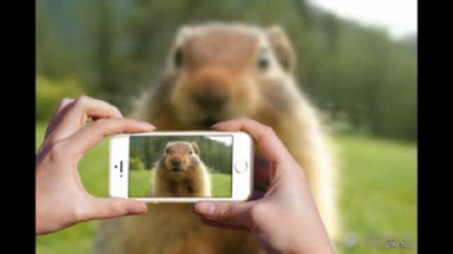 Турбо суслик. Чем труднее тем лучше смотреть онлайн