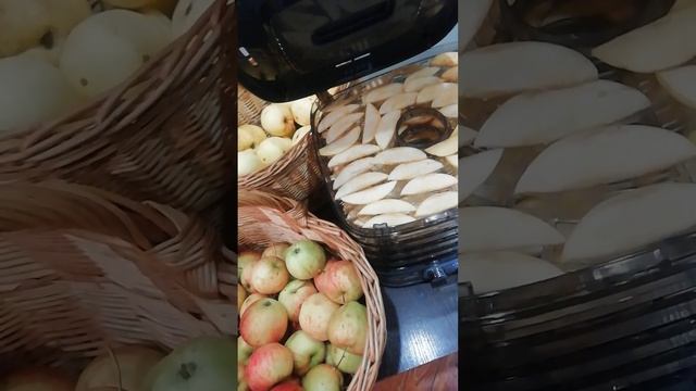 Яблочное превращение...скоро будет.