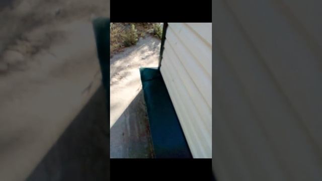 Прямая трансляция fishing и мы !