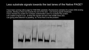 Native PAGE (Polyacrylamide Gel Electrophoresis) Troubleshooting